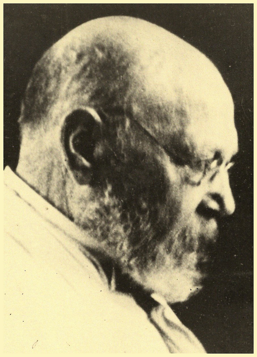 Karl Gottfried Paul Döhle (Bild)
